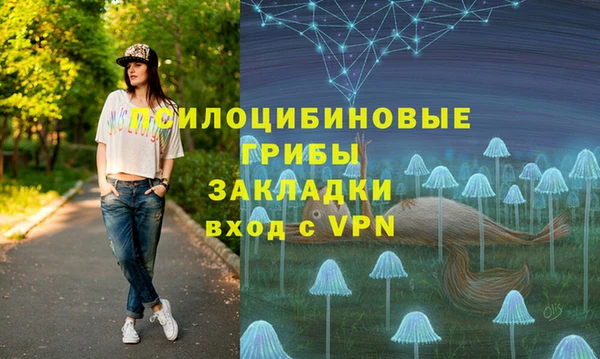 ешки Протвино