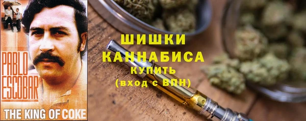 хмурый Кохма